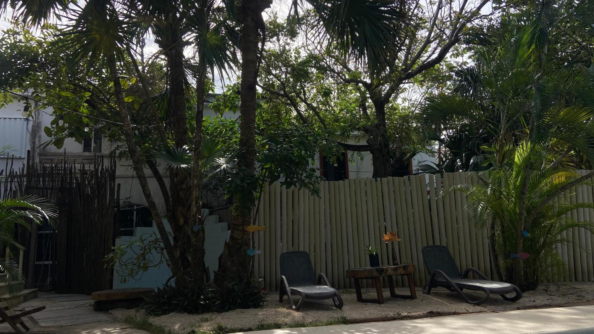 Nature Stay (Adults Only) Playa del Carmen Ngoại thất bức ảnh