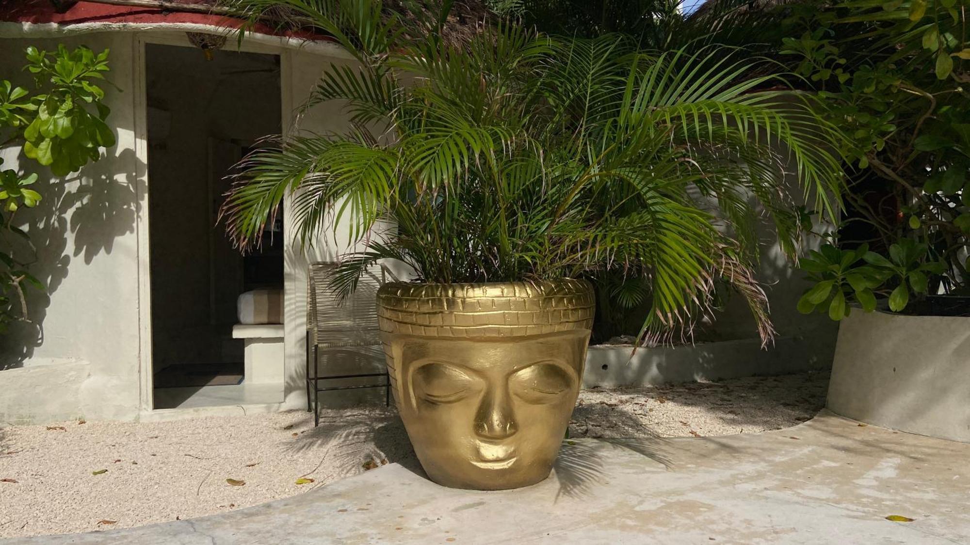 Nature Stay (Adults Only) Playa del Carmen Ngoại thất bức ảnh