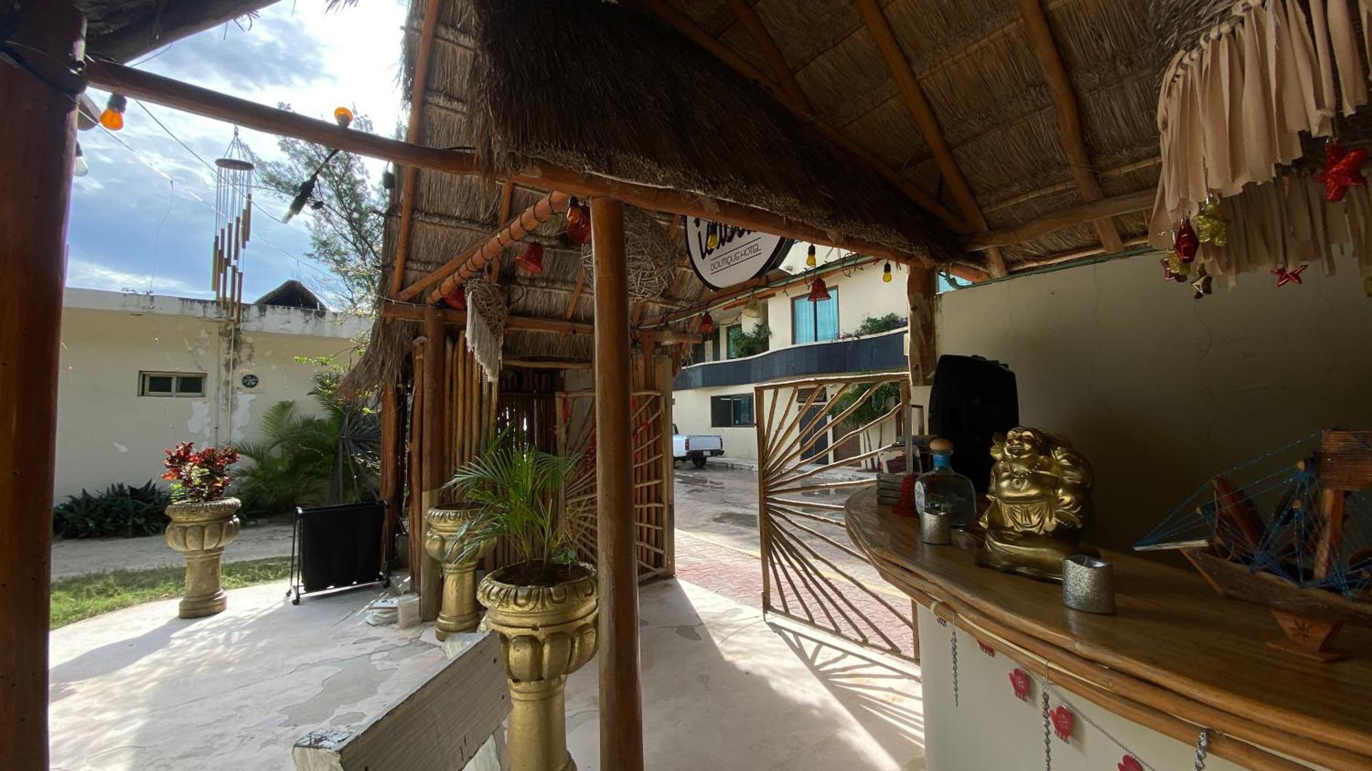 Nature Stay (Adults Only) Playa del Carmen Ngoại thất bức ảnh